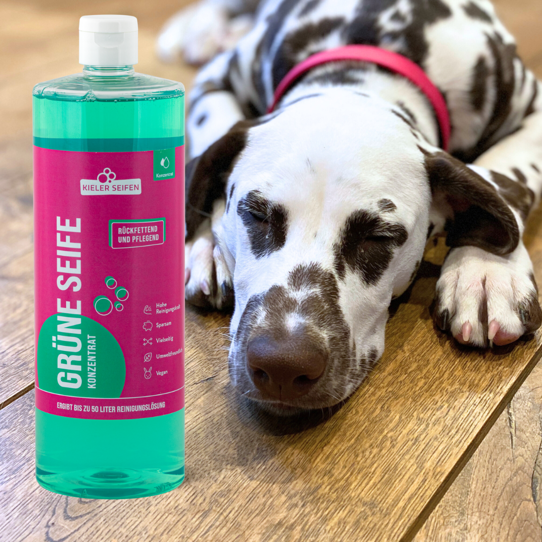 Putzen mit Hund und Katze: Böden und Flächen mit Grüner Seife reinigen